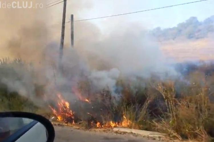 Incendiu de vegetație între Cojocna și Apahida - VIDEO