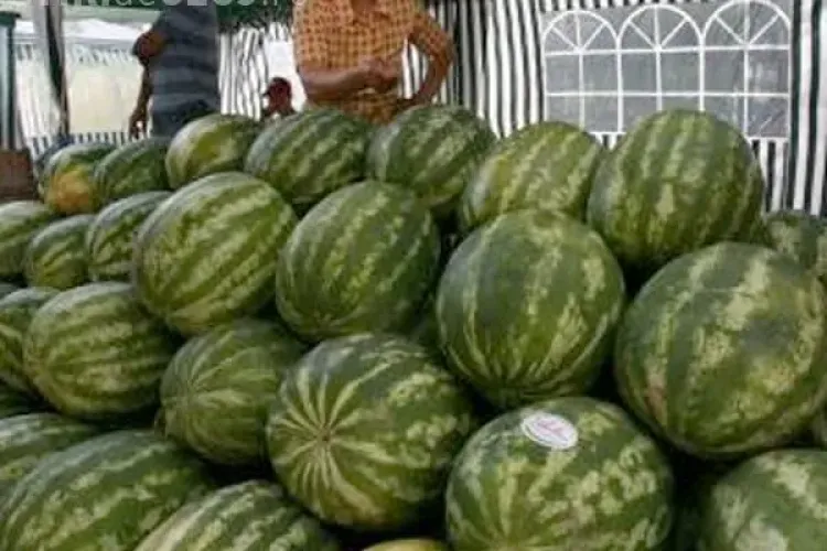 ”Pepenarii” din Cluj, amendați de Poliție