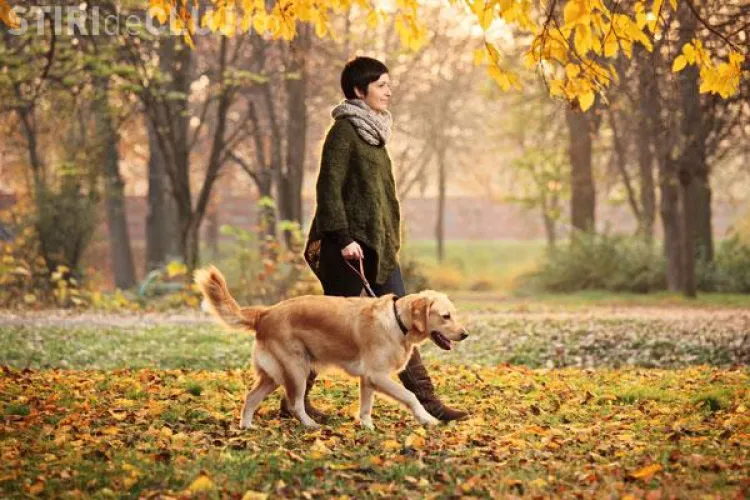 Beneficiile plimbării alături de animalul de companie. Vezi ce spun cercetătorii