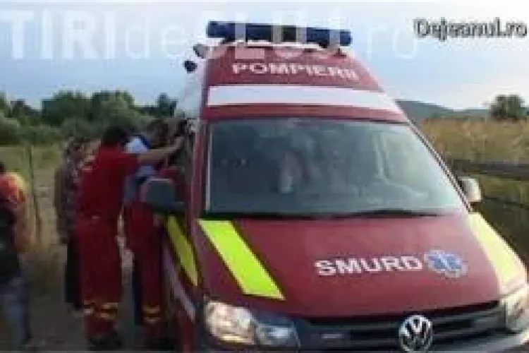 Bărbat din Cășeiu, bătut în propria curte pentru că și-a apărat câinele VIDEO