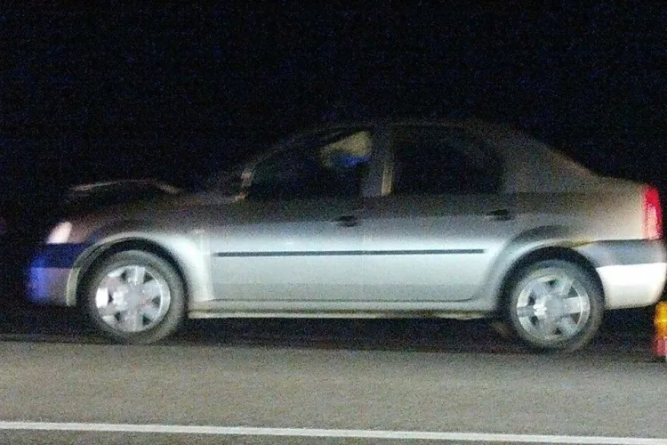 Accident la Izvorul Crișului! O șoferiță s-a trezit, azi-noapte, cu un cal pe șosea - FOTO