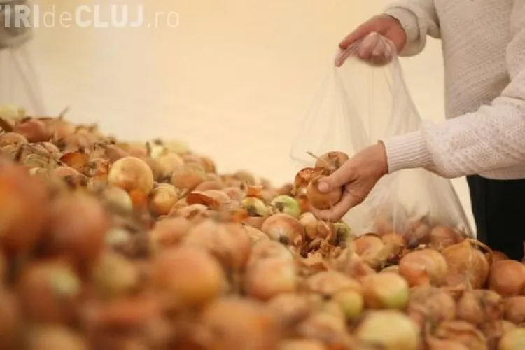 Top 10 întrebuințări casnice ale cepei