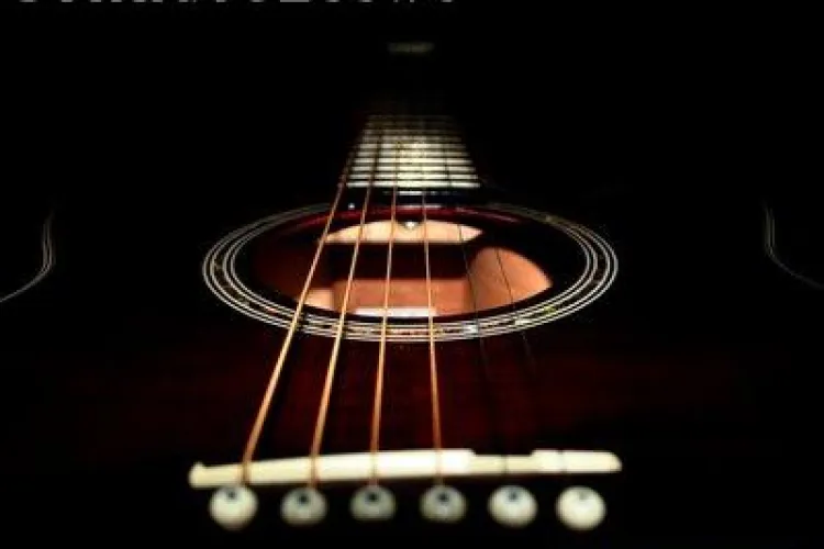 Festivalul Internațional de Chitară Transilvania începe săptămâna viitoare la Cluj