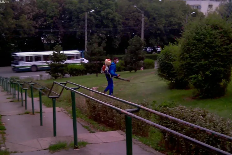 Coral face a cincea etapă de dezinsecţie pe domeniul public în Cluj-Napoca