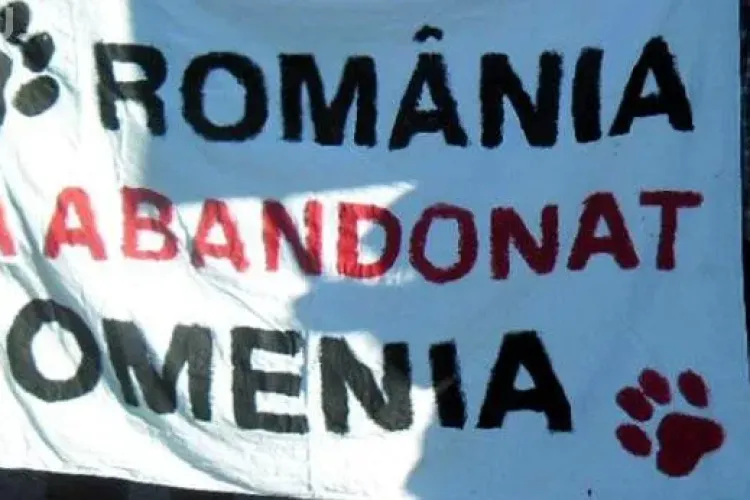 Protest împotriva eutanasierii maidanezilor la Cluj, în Piața Unirii