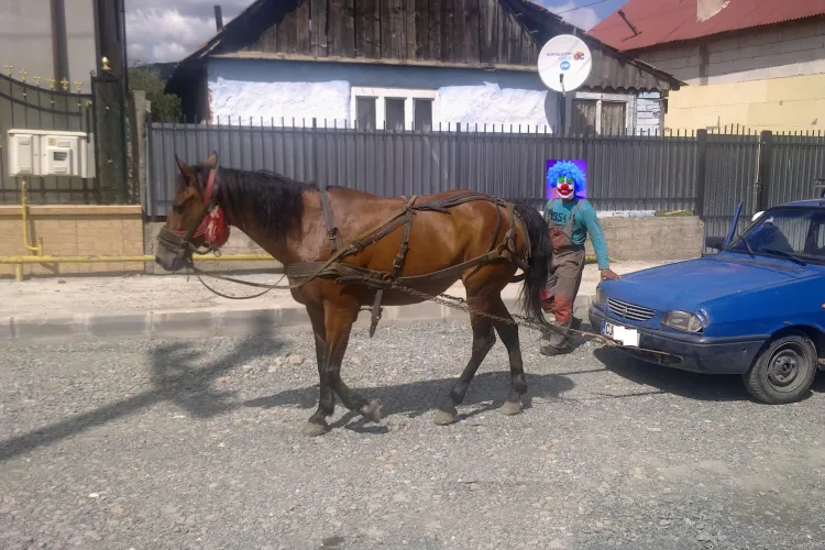 Un bărbat din Gilău și-a tractat Dacia defectă cu CALUL. Localnicii au râs de el - FOTO
