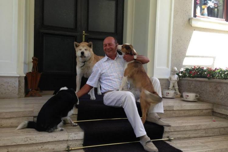Băsescu s-a pozat cu câinii săi și a postat totul pe Facebook. Ce mesaj are? - GALERIE FOTO