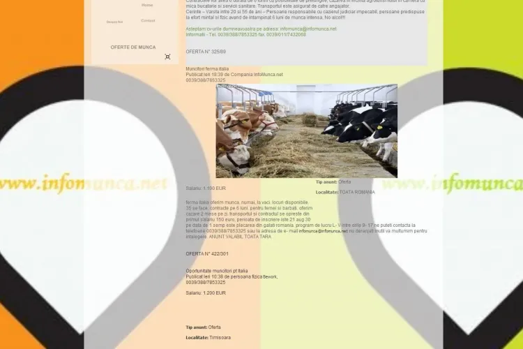 Clujeanul Titus Sfârlea dă ȚEPE cu locuri de muncă în ITALIA și pe site -ul  INFOMUNCĂ.NET