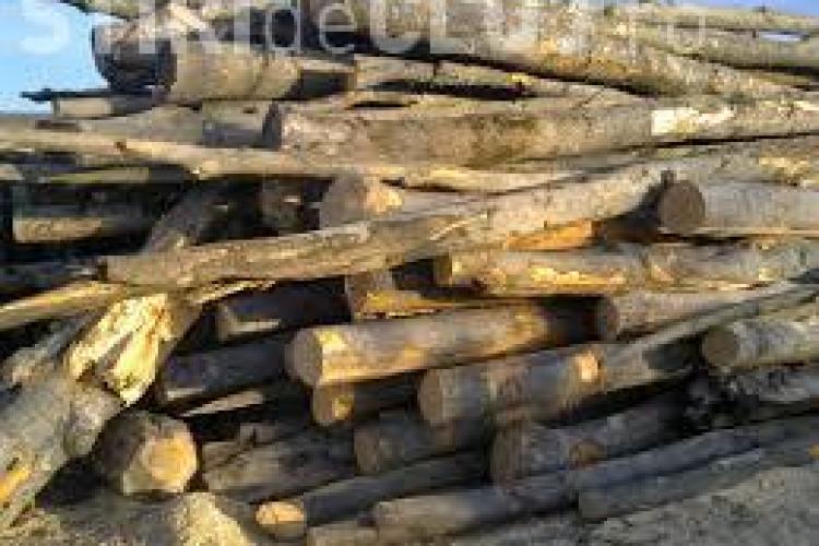 Polițiștii clujeni au confiscat un transport ilegal de materiale lemnoase 