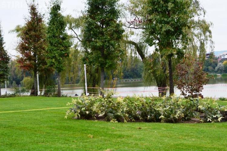 Peste 18.000 de arbuști vor fi plantați în parcul de lângă Iulius Mall Cluj - FOTO