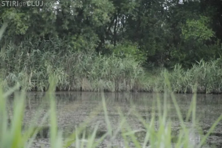 PSD Cluj susține înființarea a DOUĂ parcuri în Gheorgheni și Hoia