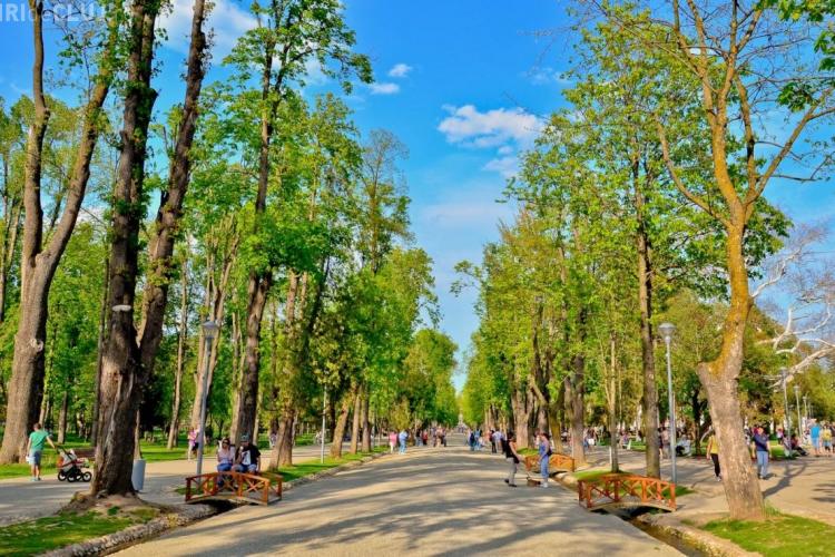 "Promenada inimii" la Cluj. Traseu de 600 metri în Parcul Central pentru încurajarea plimbărilor în aer liber