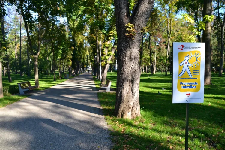 Două zone de promenadă, inaugurate la Cluj-Napoca cu ocazia Zilei Mondiale a Inimii - FOTO