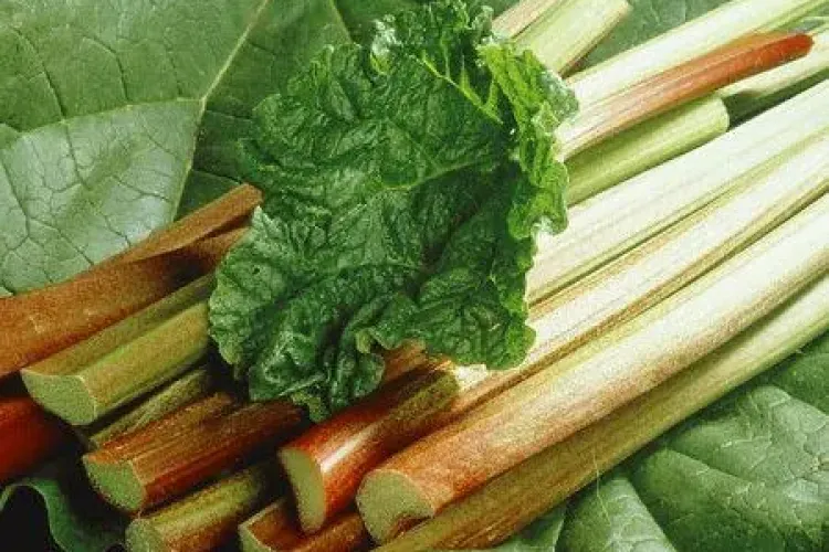 Topul plantelor din casa ta care te pot ucide. Una dintre ele este foarte comună în Ardeal