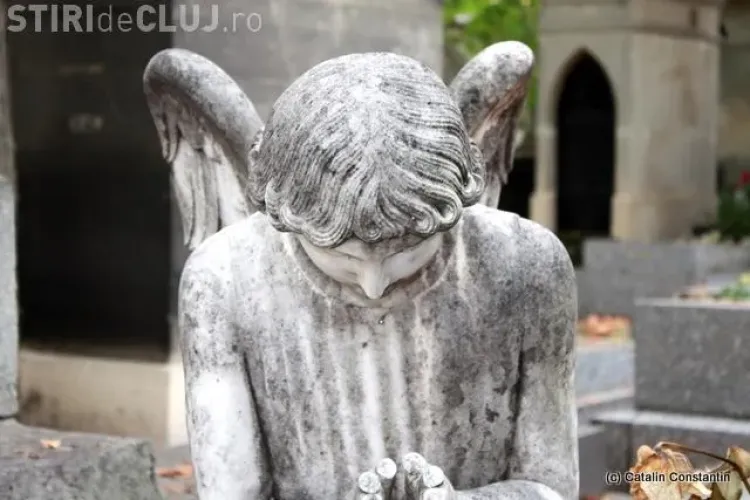 Cerere TRĂZNITĂ trimisă Primăriei Cluj-Napoca: ”Dați-mi două statui”. Ce vrea clujeanul să facă cu ele?