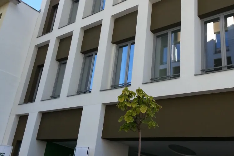 Vicepremierul Ungariei, prezent la inaugurarea Universității Sapientia: Limba noastră maternă este genială și trebuie apărată