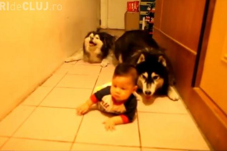 CLIP SUPERB: Bebelușul imitat de câinii familiei - VIDEO
