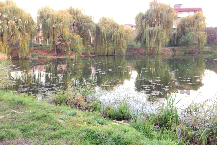 PNL-iștii îi cer lui Boc să amenajeze și Lacul 3 Gheorgheni