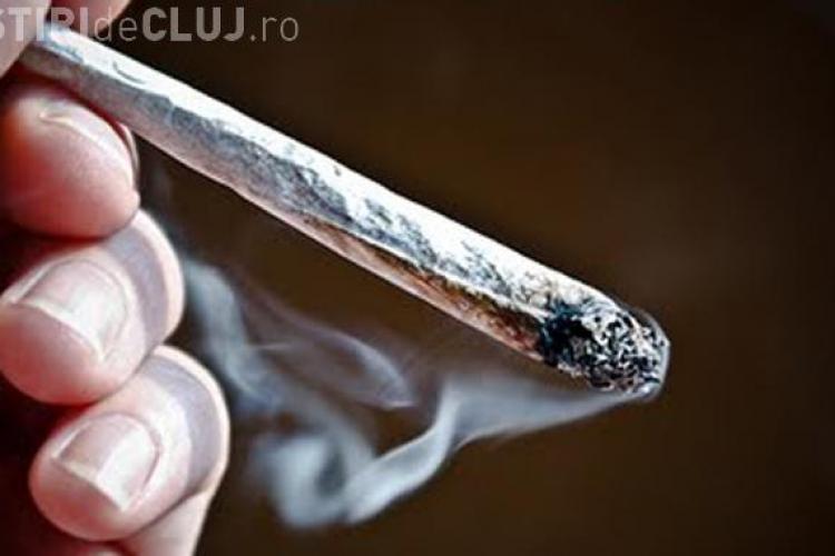 Românii s-ar putea trata cu marijuana peste câteva luni