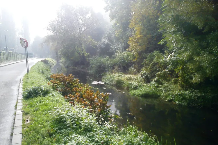 Constructorii MEGA blocului din Parcul Rozelor, acuzați că blochează accesul la Canalul Morii - FOTO
