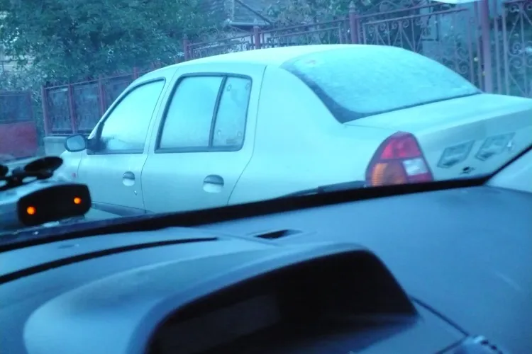 Floreștiul insuportabil. Poziția unui om ONEST care recunoaște că ”nu a știut unde se mută” - FOTO