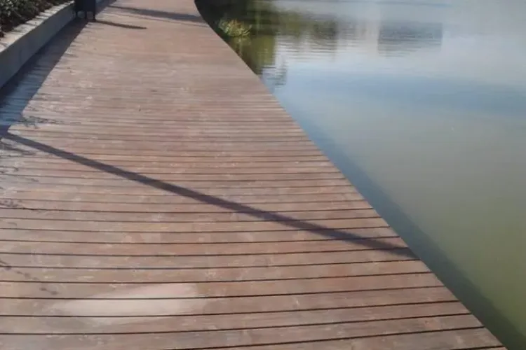 Un clujean cere BALUSTRADĂ pe pontonul de lemn de pe malul lacului din Gheorgheni - FOTO