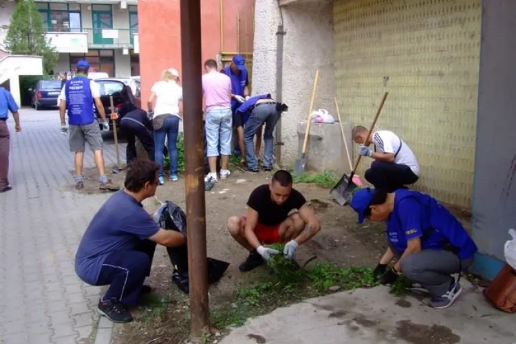 Japonezii vor să curețe parcul Detunata din Cluj-Napoca