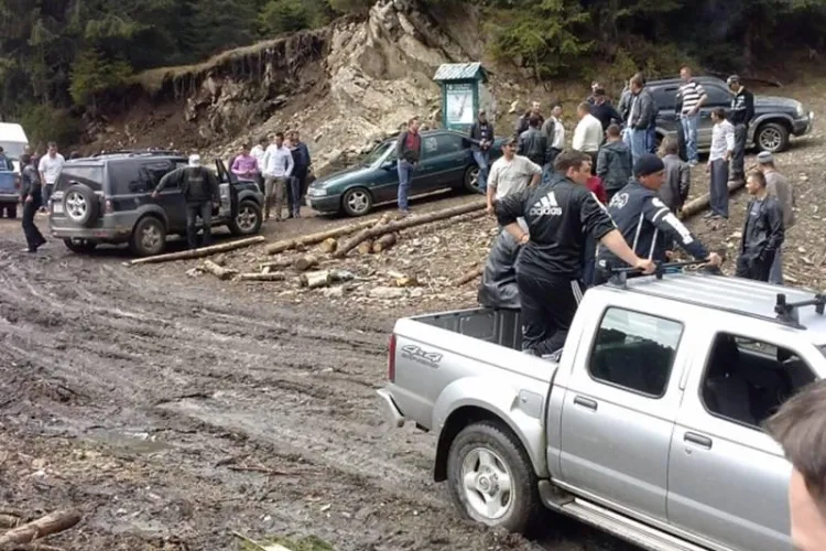 Inspectorii silvici din Cluj amenințați cu moartea de MAFIA lemnului din Mărișel