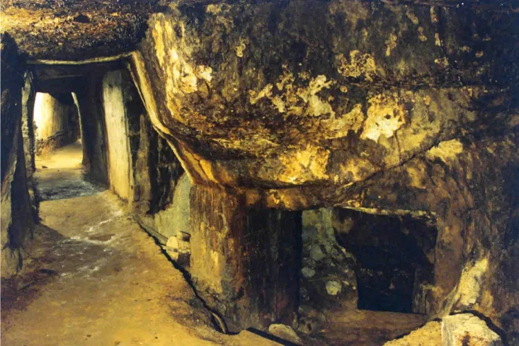 FMI crede că ROŞIA MONTANĂ ar aduce beneficii economice, dar că sunt riscuri de MEDIU