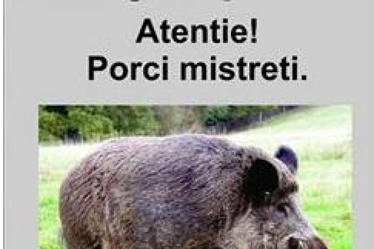 "Cluj-Napoca- Atenție! Porci mistreți." Este noul indicator rutier al orașului, care circulă pe internet! 