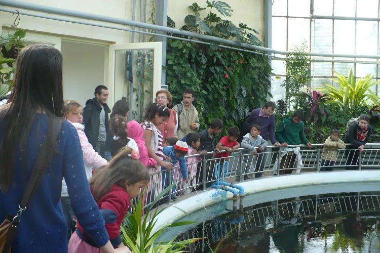 Un grup de studenți de la Facultatea de Sociologie i-a dus pe copiii de la Pata Rât la Grădina Botanică