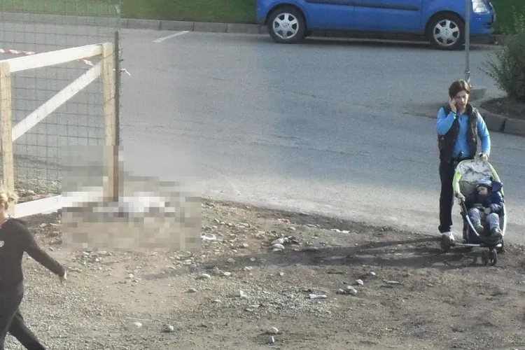 Câine mort la intrare în parcul Iulius Mall! Ce REACȚIE a avut lumea - FOTO
