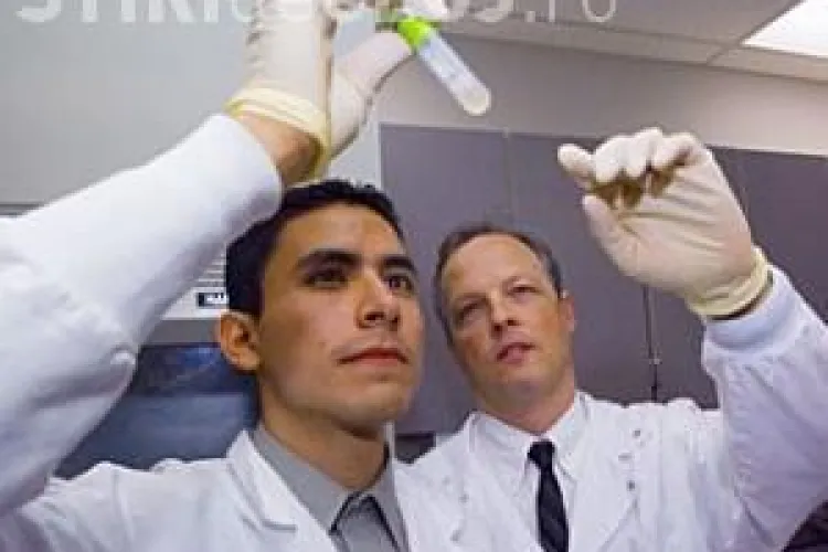 Cercetătorii au ucis cea mai bătrână creatură din lume. Avea 507 ani FOTO