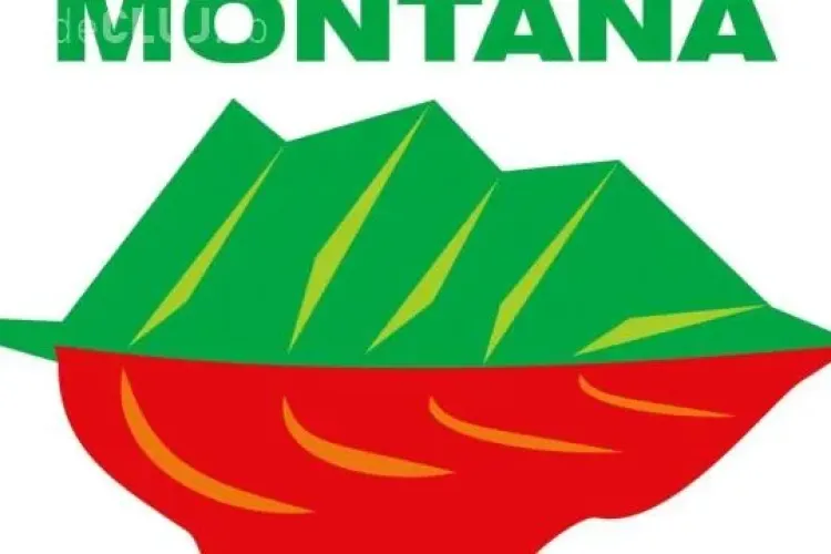 Senatul a respins proiectul de lege privind Roșia Montană