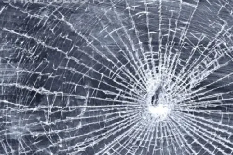 Hoții de brazi de Crăciun din Călățele au aruncat cu pietre după mașina poliției