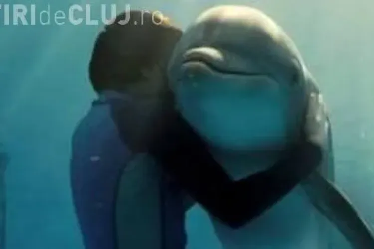 Scrisoare emoționantă către Moș Crăciun din partea unui băiat abuzat de tatăl lui