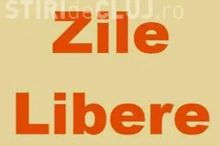 Trei noi ZILE LIBERE pentru bugetari, la finalul lunii decembrie și începutul lui inuarie 2014