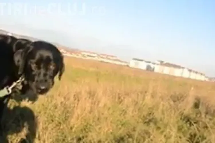 Un bărbat din Florești UMILIT de un polițist de la ”JUDICIAR”, acuzat că a făcut abuz de funcție - VIDEO