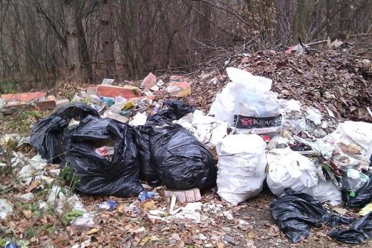 Grămezi de gunoaie aruncate pe marginea drumului în Făget: ”Sper să vadă și cei responsabili” FOTO