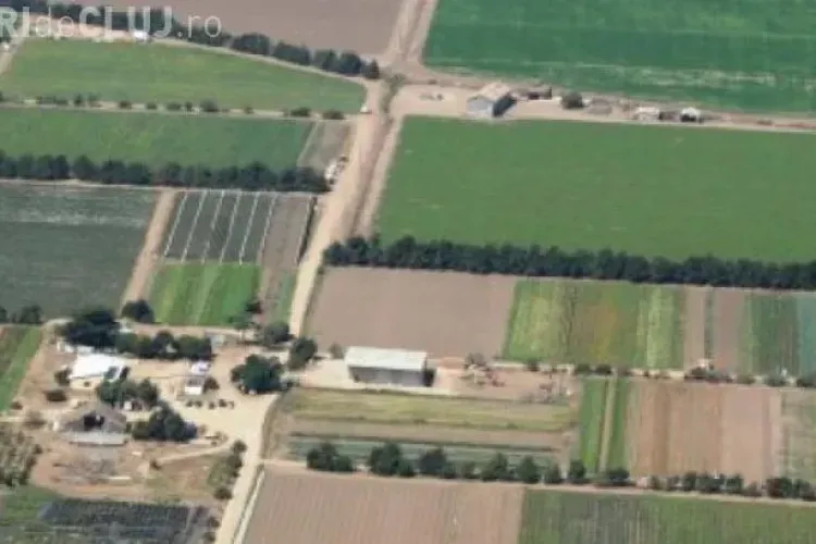 Ungaria cumpără pământ în România. Oficial din ambasadă: Vom da pământul tinerilor care vor să-l lucreze