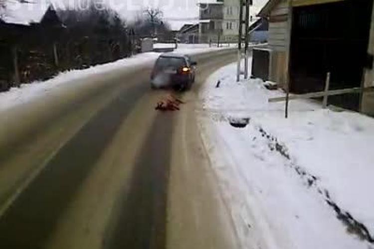 Și-a tras porcul sacrificat după mașină pe șosea spre casă, într-o comună din Bistrița-Năsăud - VIDEO