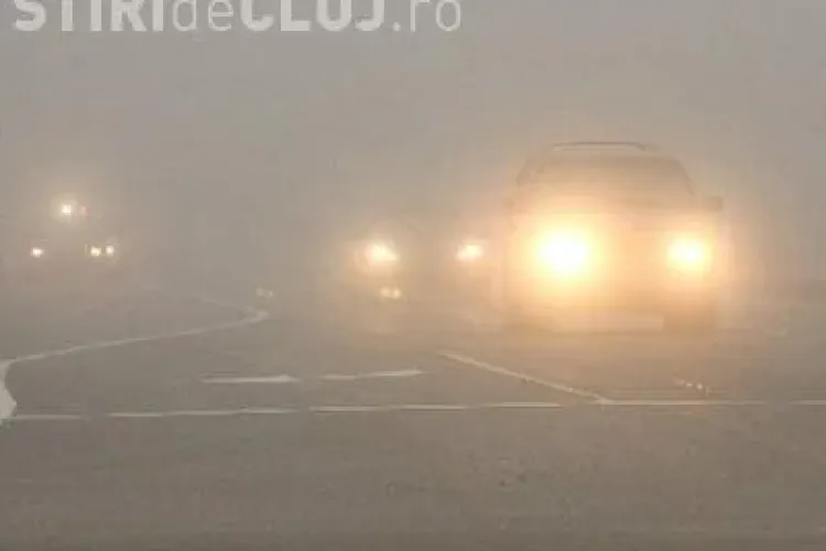 COD Galben de ceață în Cluj