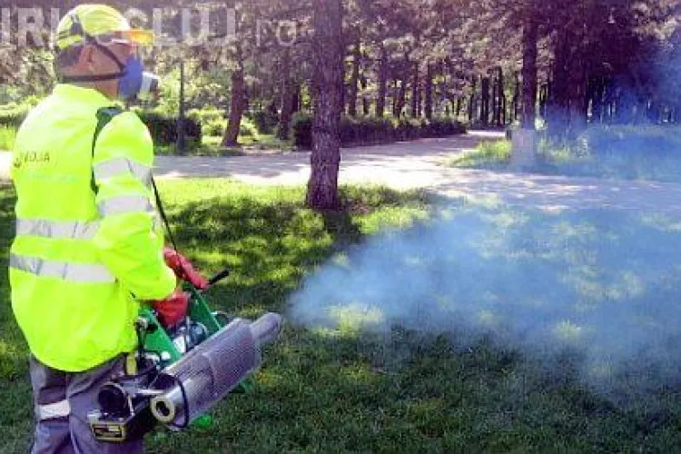 "Razie" impotriva tantarilor purtatori ai virusului West Nile, programata de primaria Cluj-Napoca