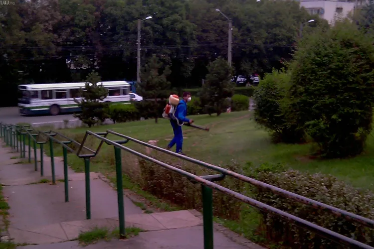 Firma Coral face "dezinsectie" printre clujenii aflati in parcuri - VIDEO