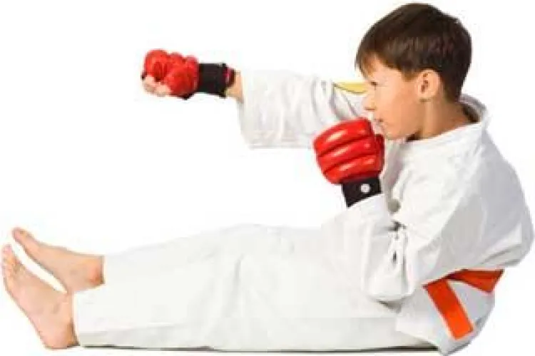 Un antrenor de Karate din Zalau, arestat pentru pornografie infantila!