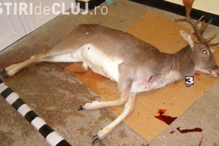 VIDEO: Braconieri prinsi la Caianu. Suspectii au impuscat doua caprioare