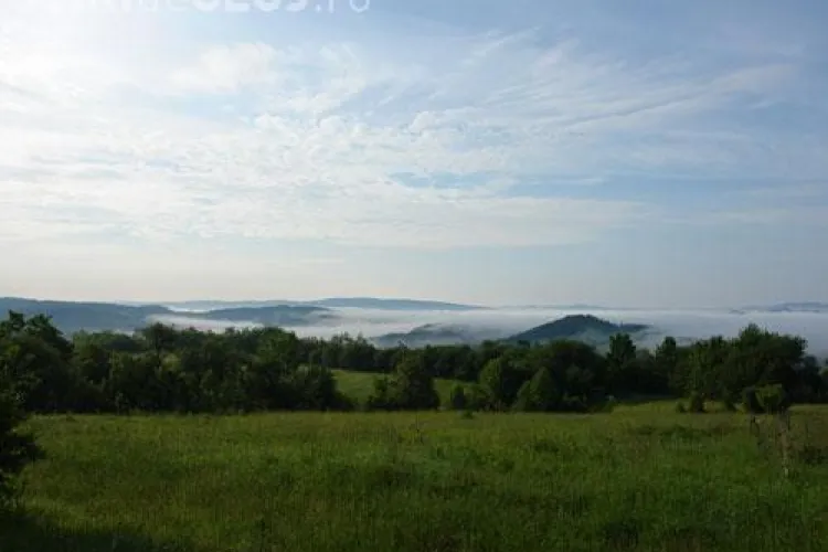Clasicii literaturii universale, exilati la periferia Clujului. Hemingway, Mark Twain sau Jack London se vor numi strazile din zona Valea Fanatelor
