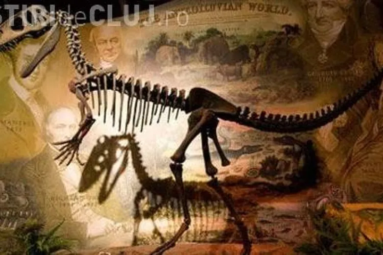 Balaurul bondoc, descoperit la Sebes, va fi inclus in colectia Muzeului Ardelean din Cluj-Napoca