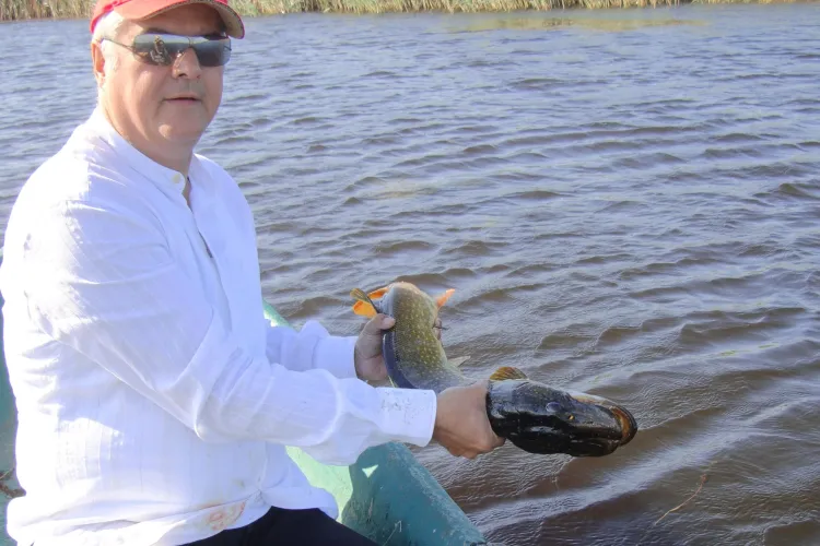 Nastase se lauda ca a pescuit 20 de stiuci in Delta - Vezi FOTO cu "monstrii" prinsi de fostul premier!