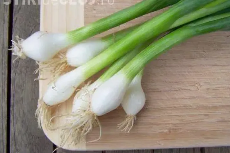 Poliția locală a confiscat ceapă verde și ridichi din piețe